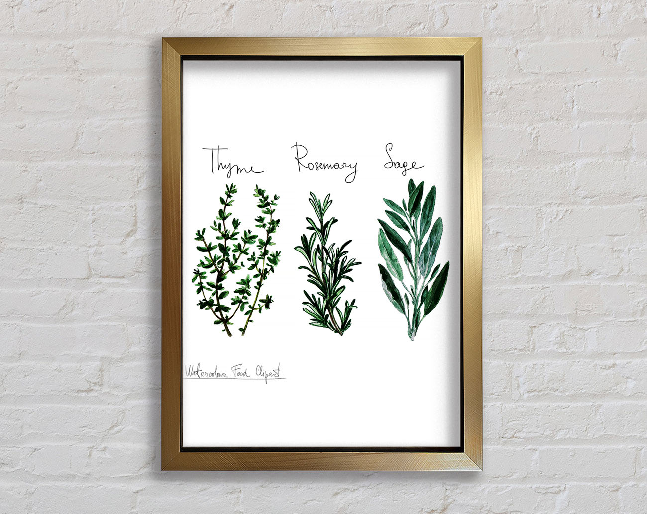 Herb Selection 3 Framed Print
