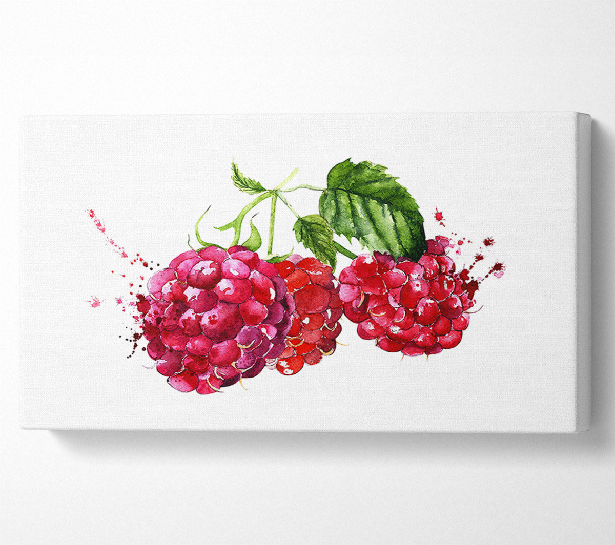Raspberry Trio Canvas Wall Art