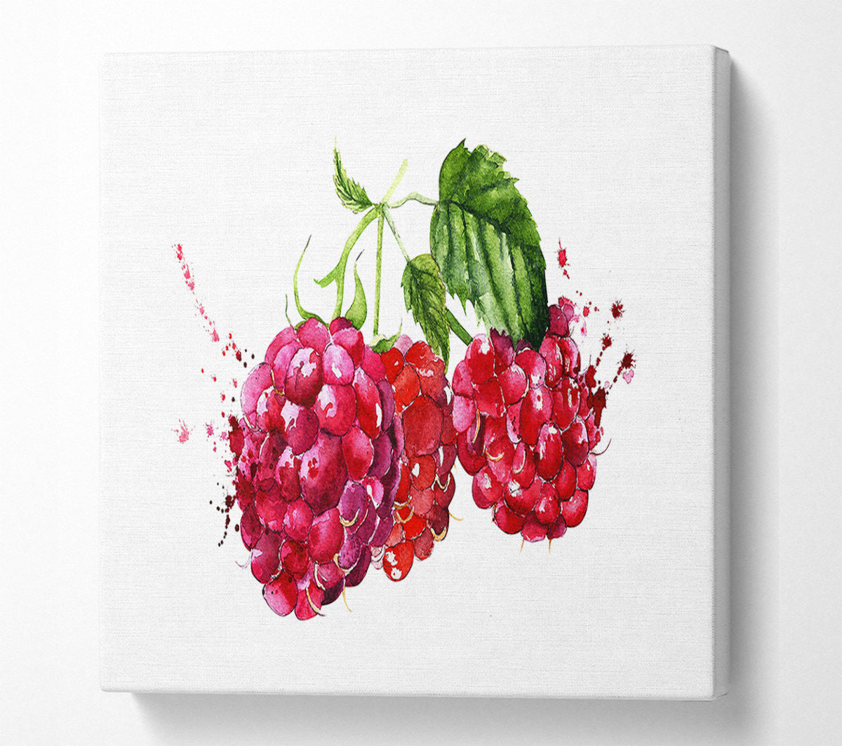 Raspberry Trio Canvas Wall Art