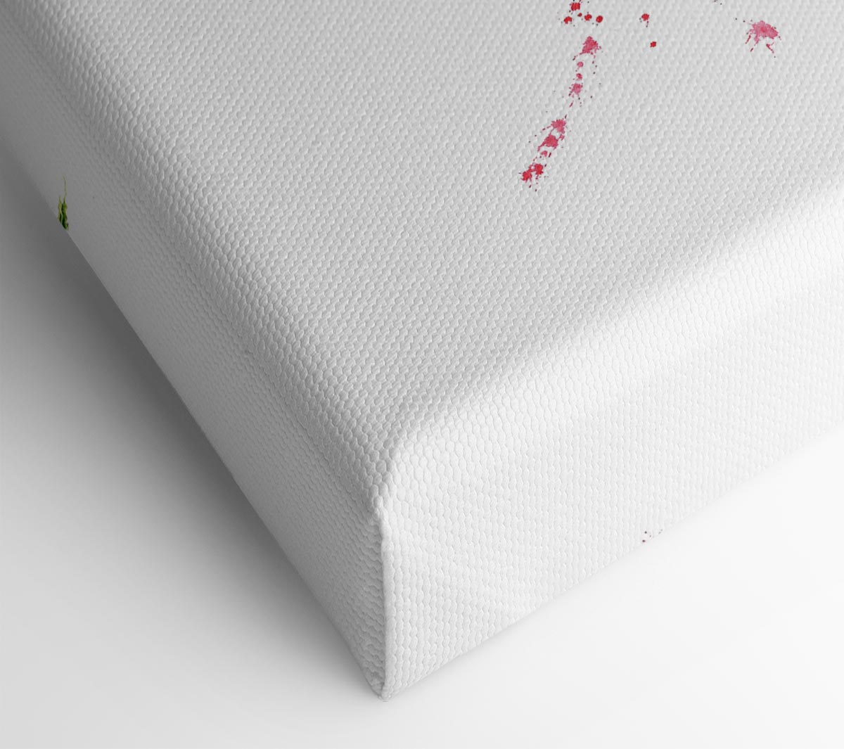 Raspberry Trio Canvas Wall Art