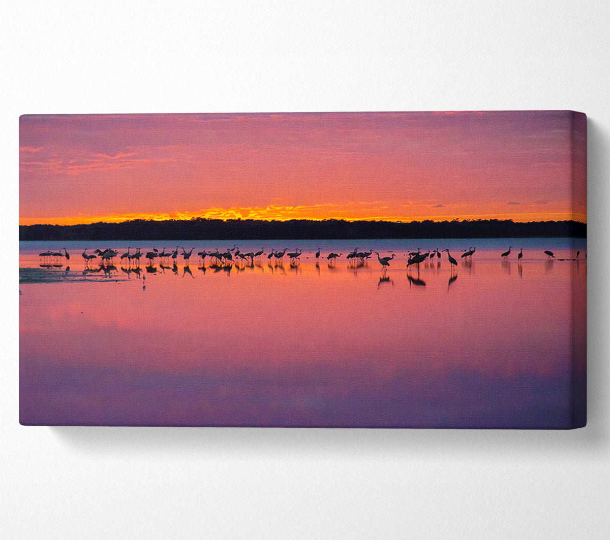 Pink Bird Paradise Canvas Wall Art