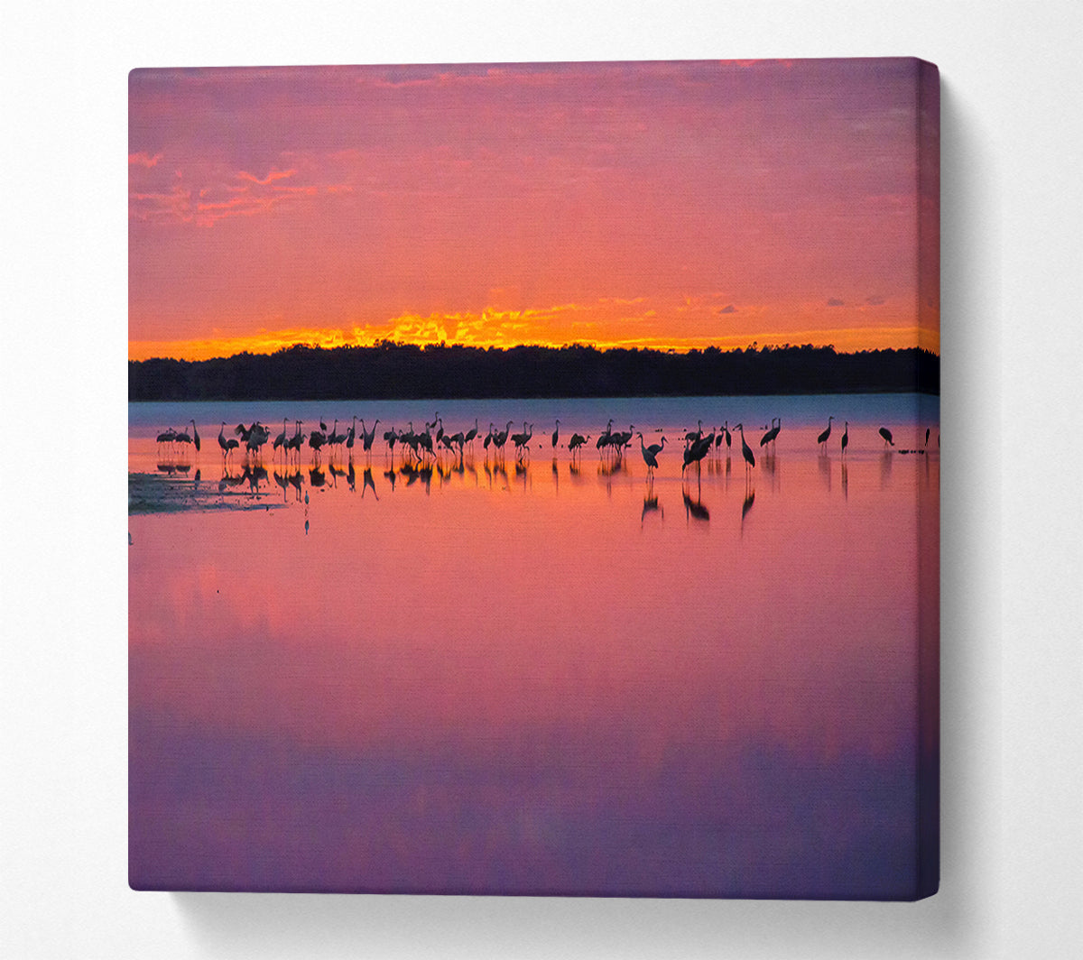 Pink Bird Paradise Canvas Wall Art
