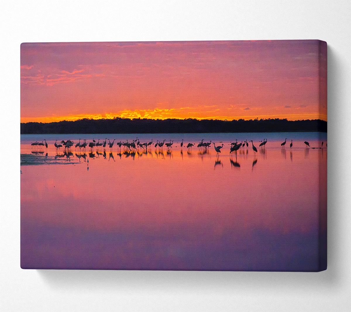 Pink Bird Paradise Canvas Wall Art