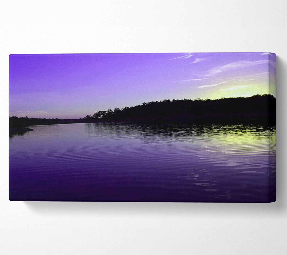 Purple Ripples Canvas Wall Art
