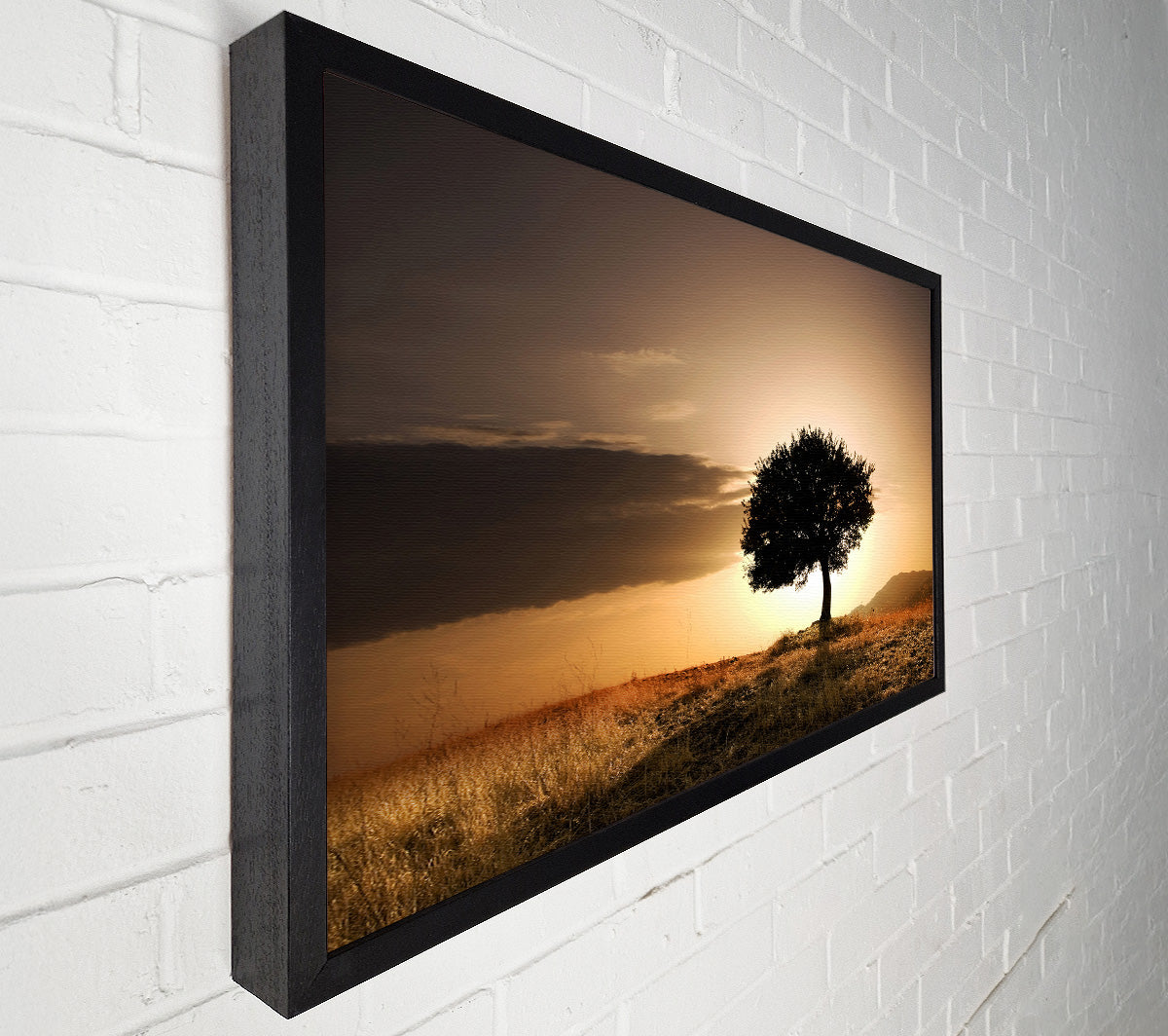 Sunset Behind The Tree Canvas Wall Art