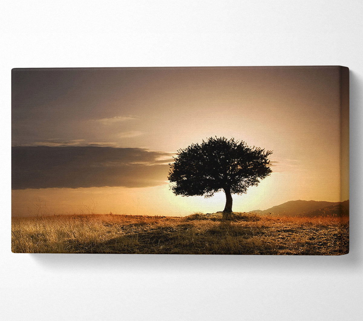 Sunset Behind The Tree Canvas Wall Art