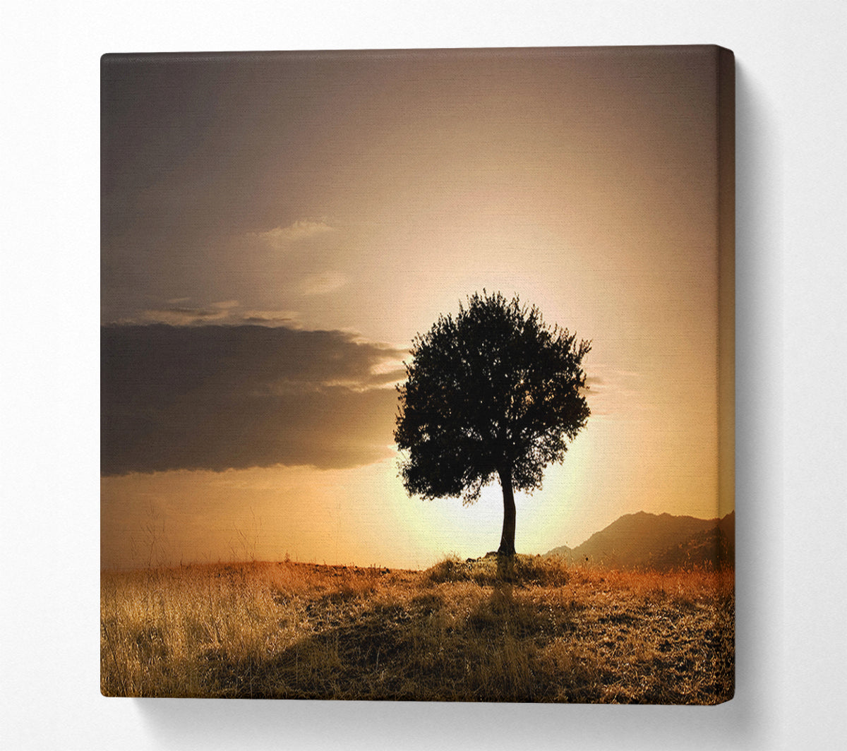 Sunset Behind The Tree Canvas Wall Art