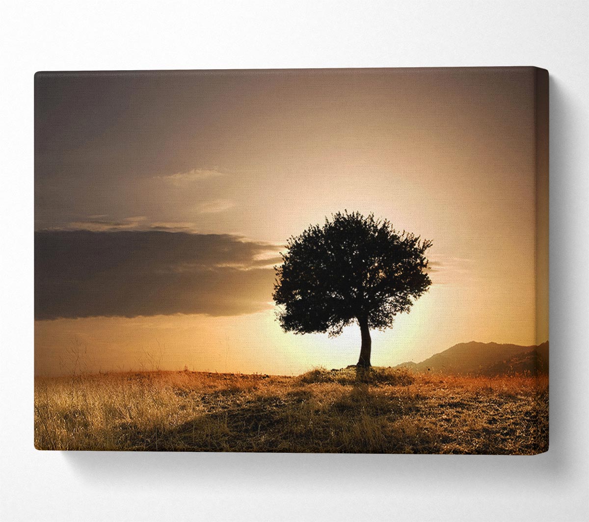 Sunset Behind The Tree Canvas Wall Art
