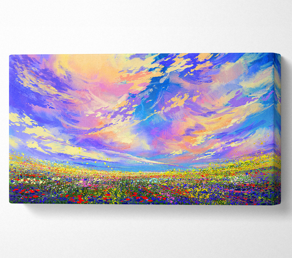 Rainbow Fields Canvas Wall Art