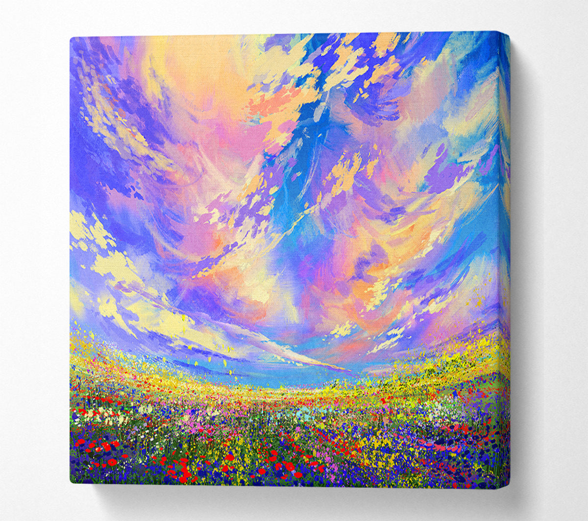 Rainbow Fields Canvas Wall Art