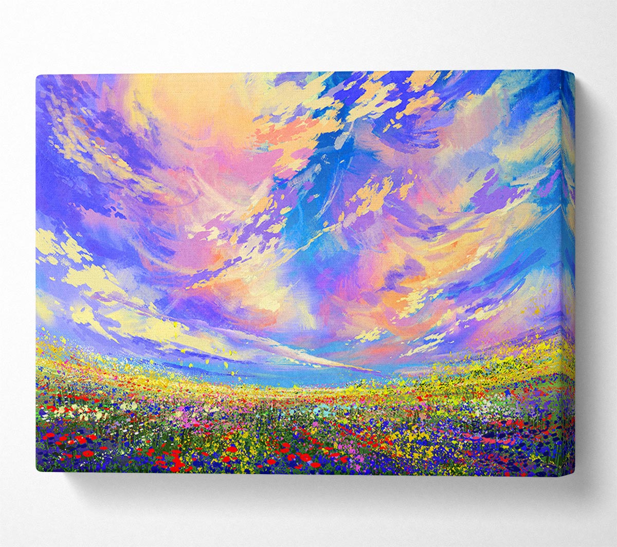 Rainbow Fields Canvas Wall Art
