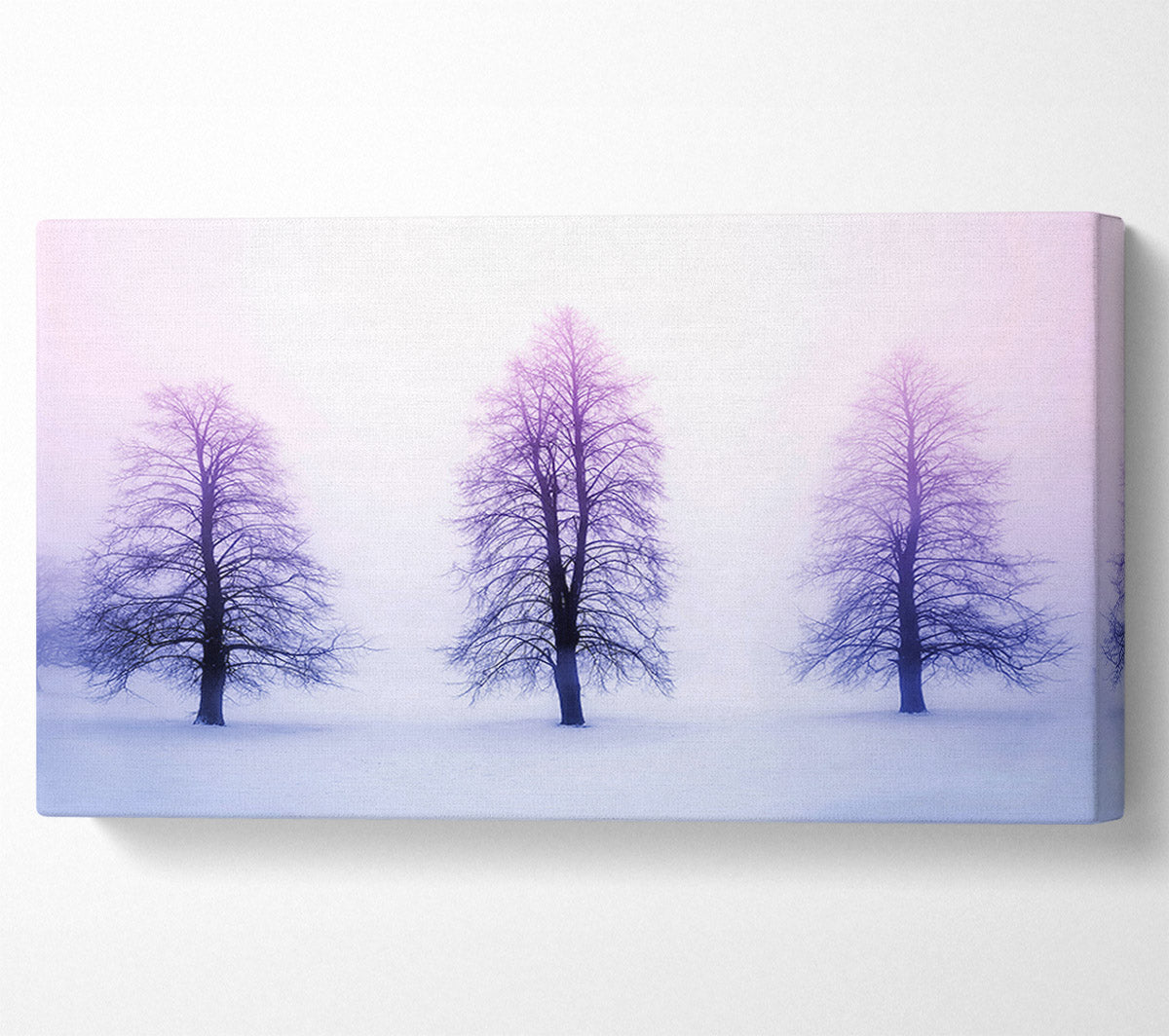 Purple Winter Trees Canvas Wall Art