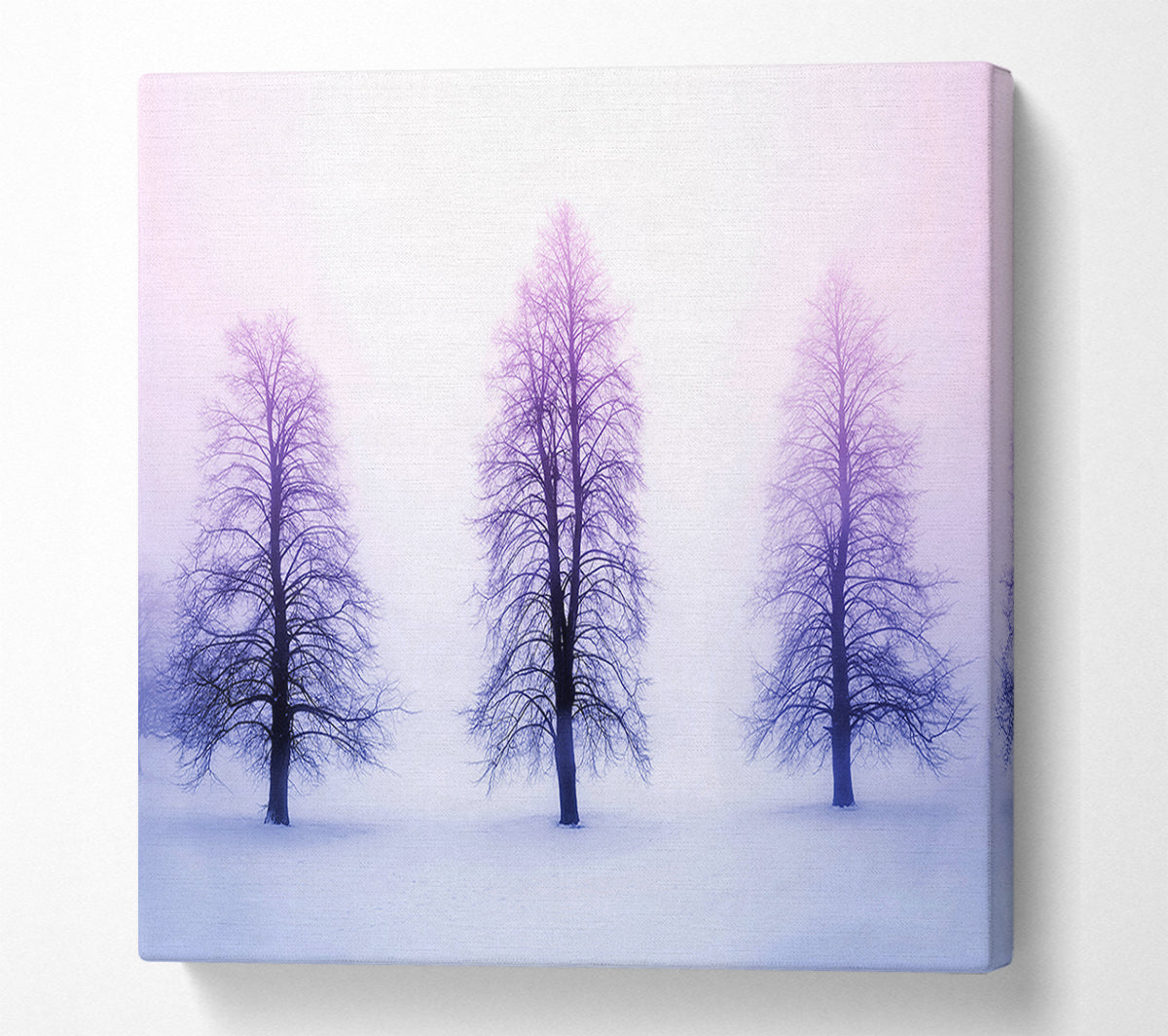 Purple Winter Trees Canvas Wall Art