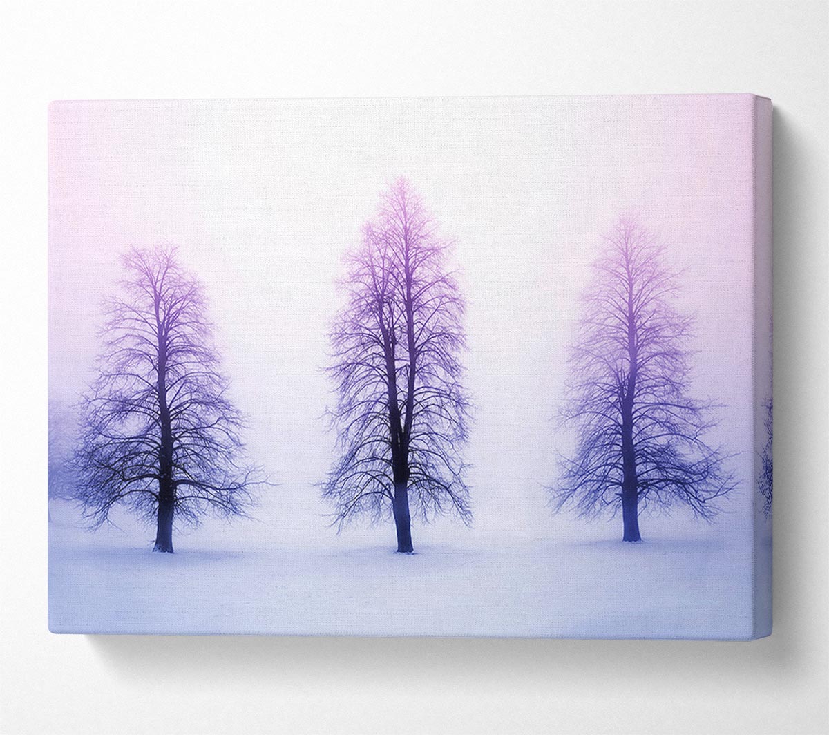 Purple Winter Trees Canvas Wall Art