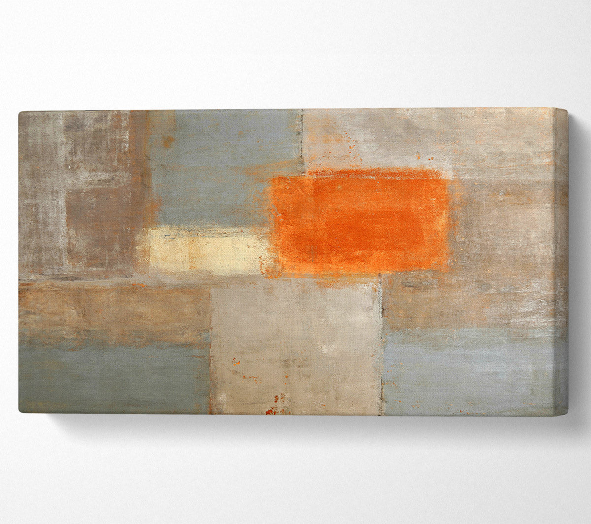 A Patch Of Orange Canvas Wall Art