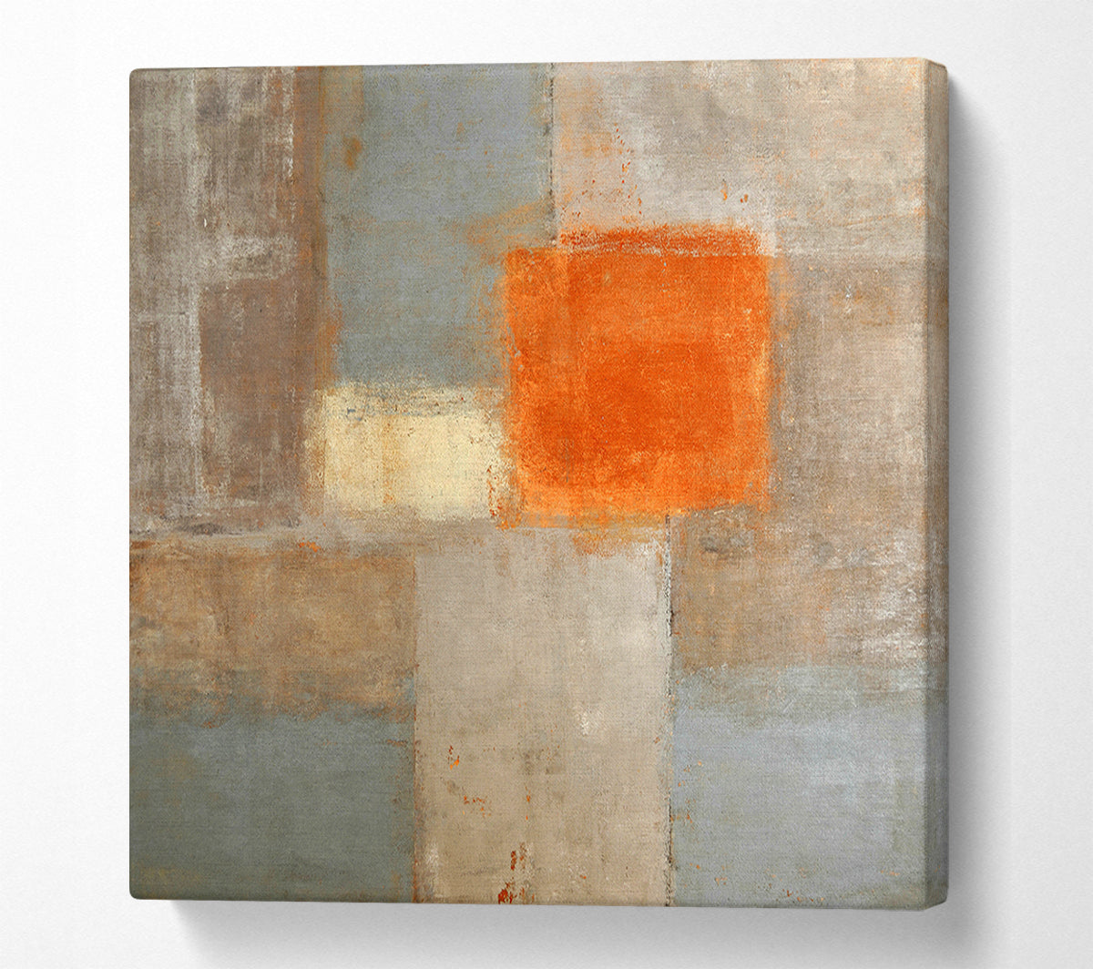 A Patch Of Orange Canvas Wall Art
