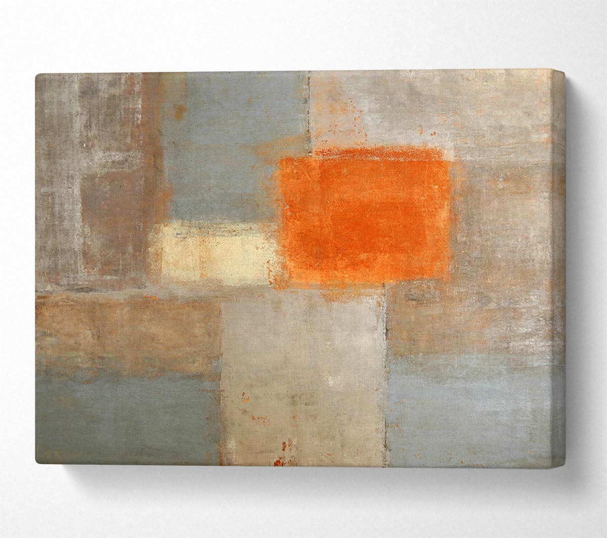A Patch Of Orange Canvas Wall Art