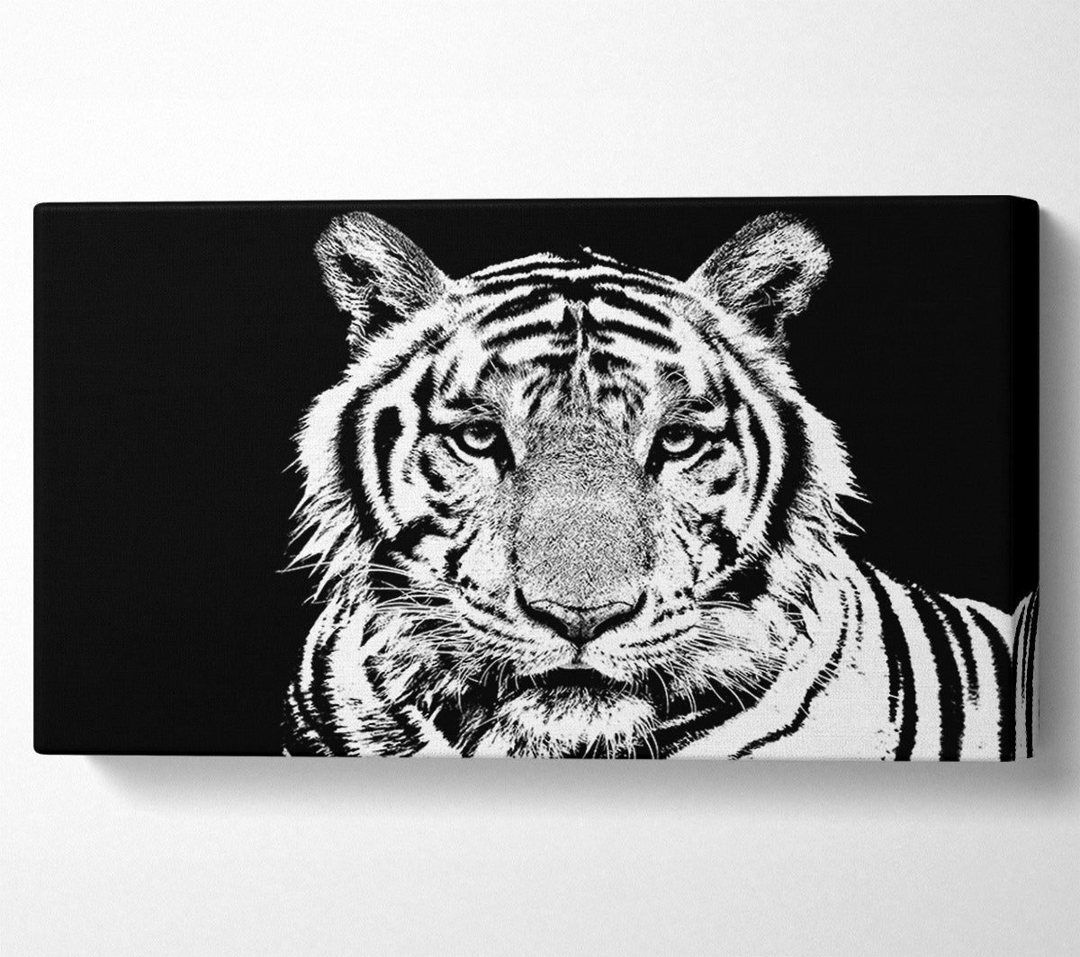 Stunning Tiger Face Canvas Wall Art