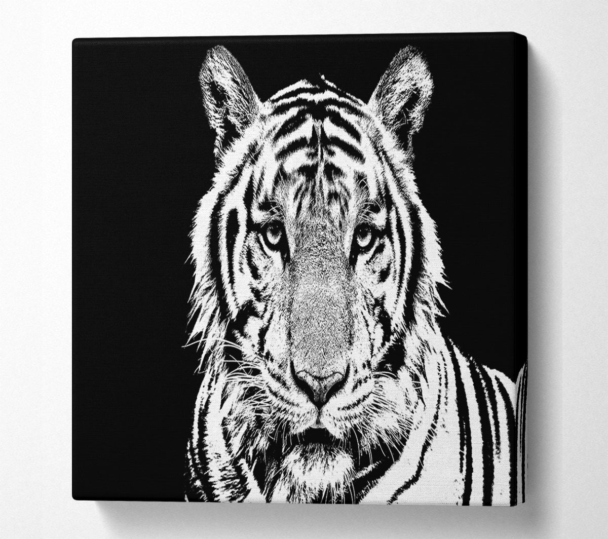 Stunning Tiger Face Canvas Wall Art