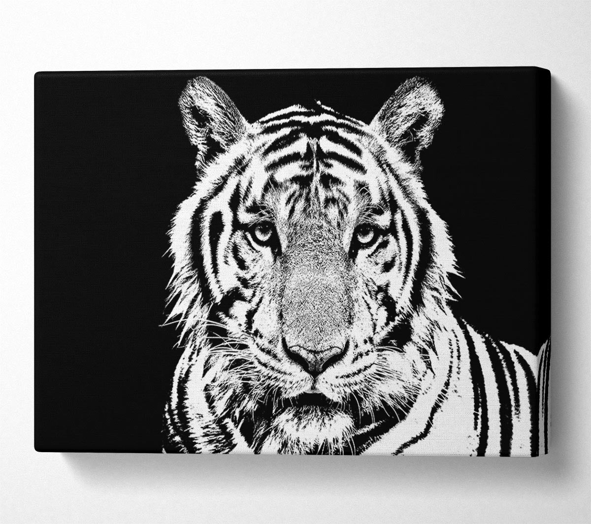 Stunning Tiger Face Canvas Wall Art