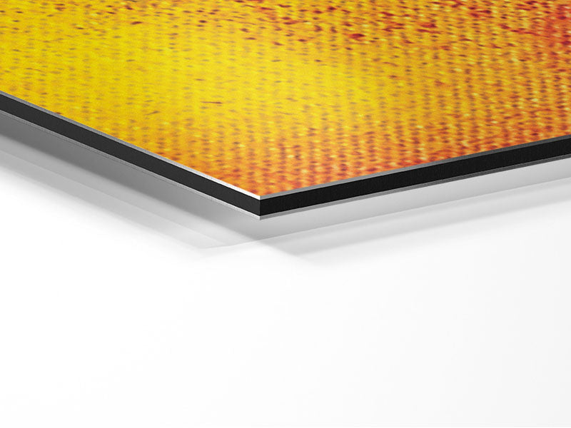 Garden Pixie Metal Print