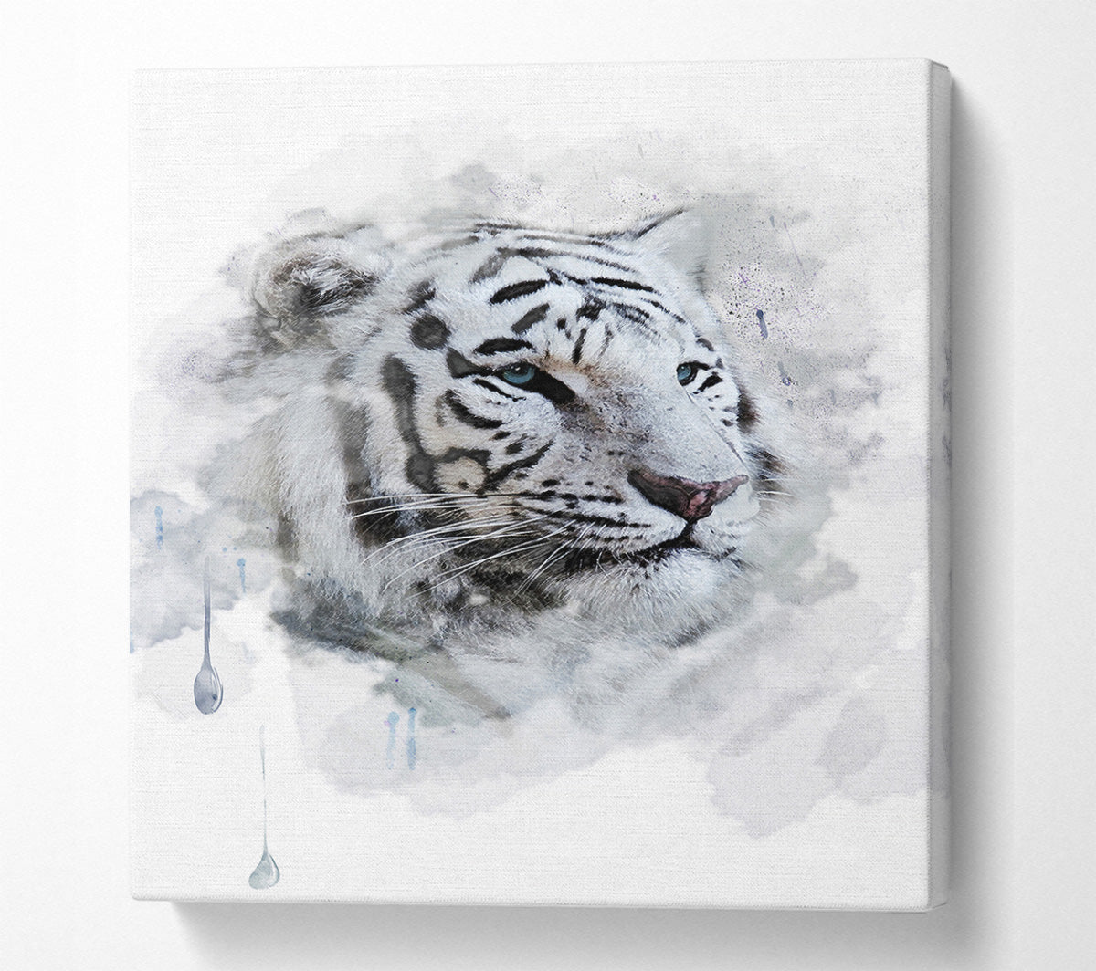 White Tiger Blue Eyes Canvas Wall Art