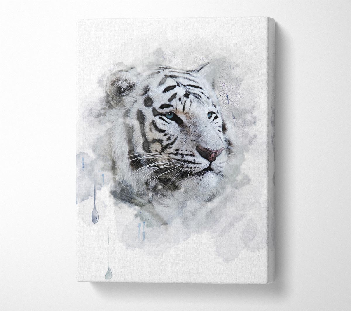 White Tiger Blue Eyes Canvas Wall Art