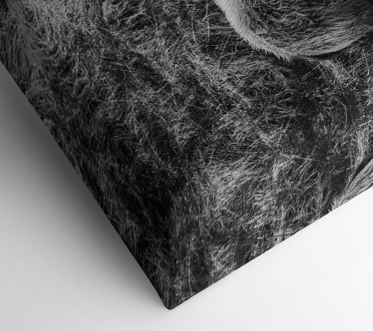 Ram Duo Canvas Wall Art