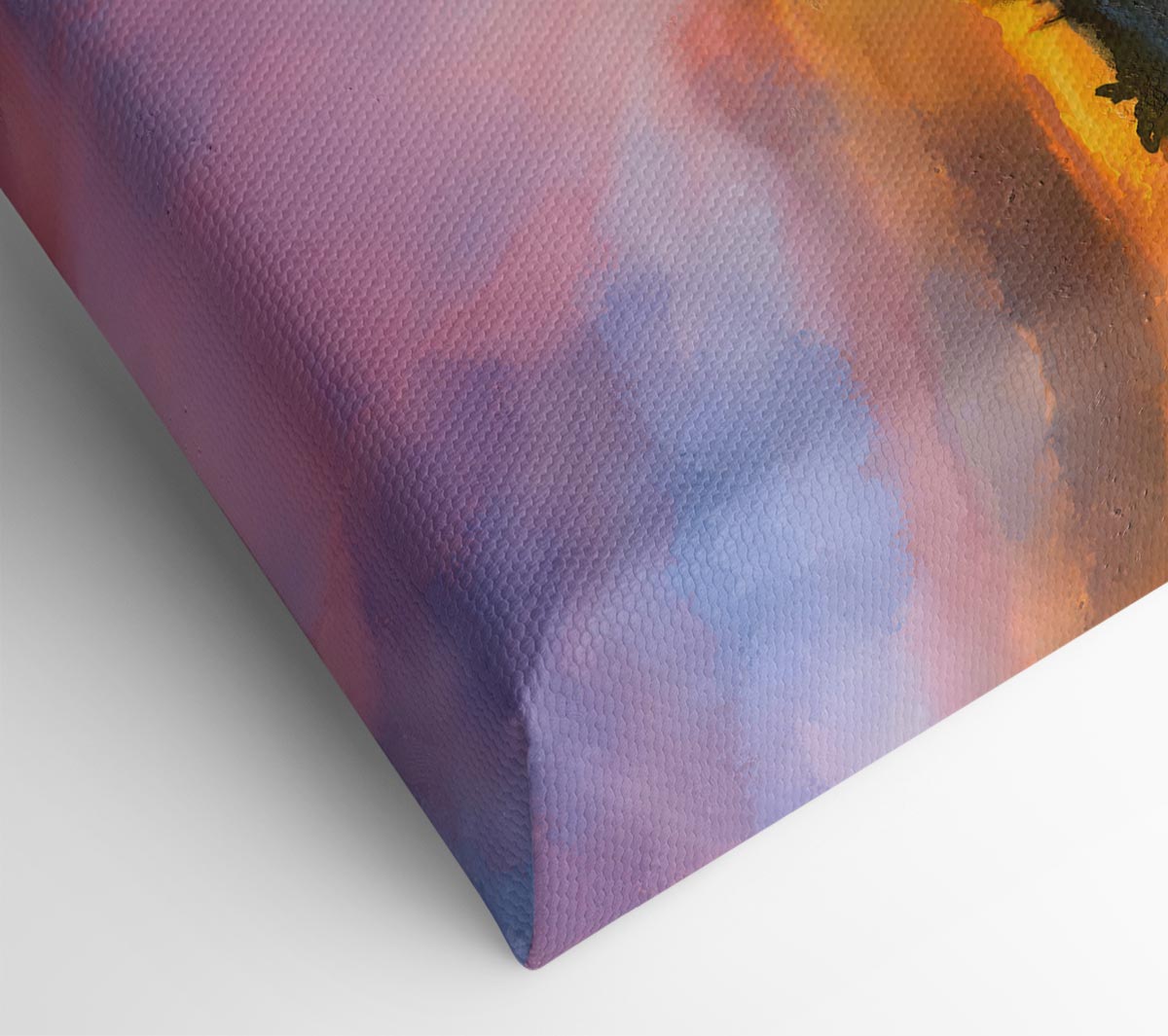 Sun Break Over The Wild Flowers Canvas Wall Art