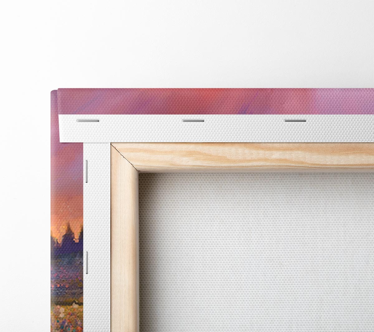 Sun Break Over The Wild Flowers Canvas Wall Art