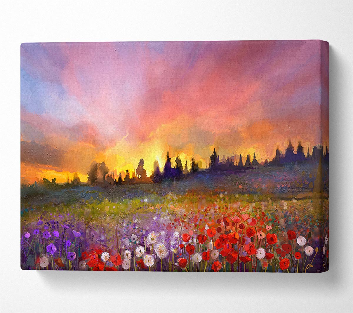 Sun Break Over The Wild Flowers Canvas Wall Art