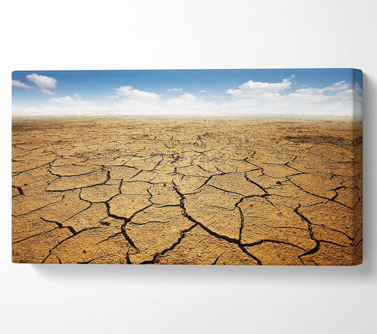 Signs Of Life Canvas Wall Art