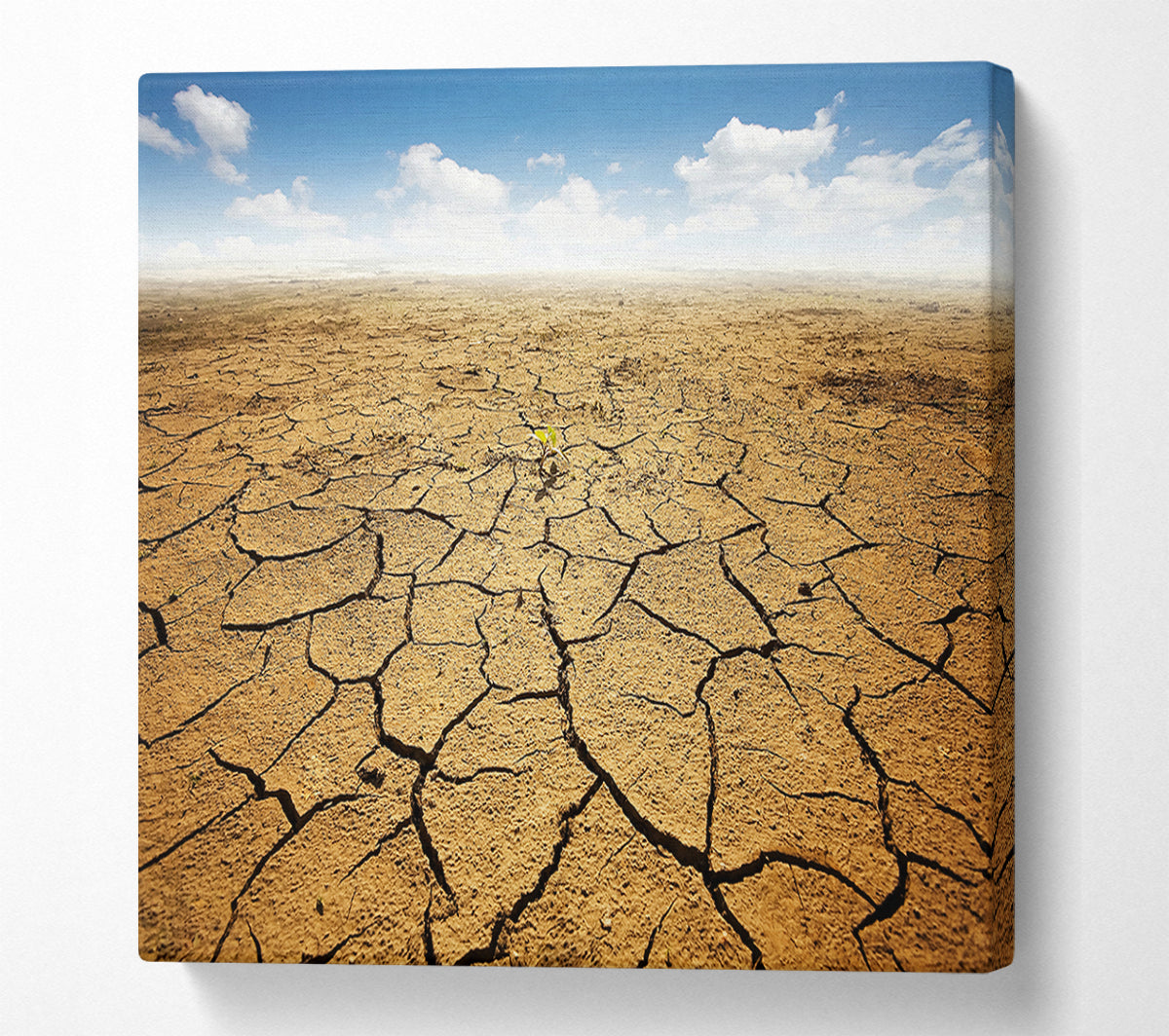 Signs Of Life Canvas Wall Art