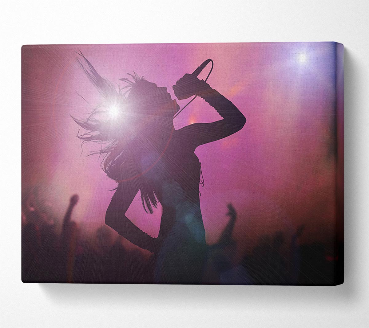Rock Goddess Canvas Wall Art