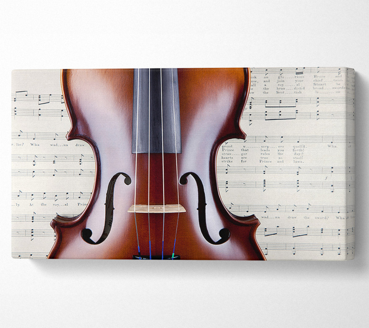 Violin Splendor Canvas Wall Art