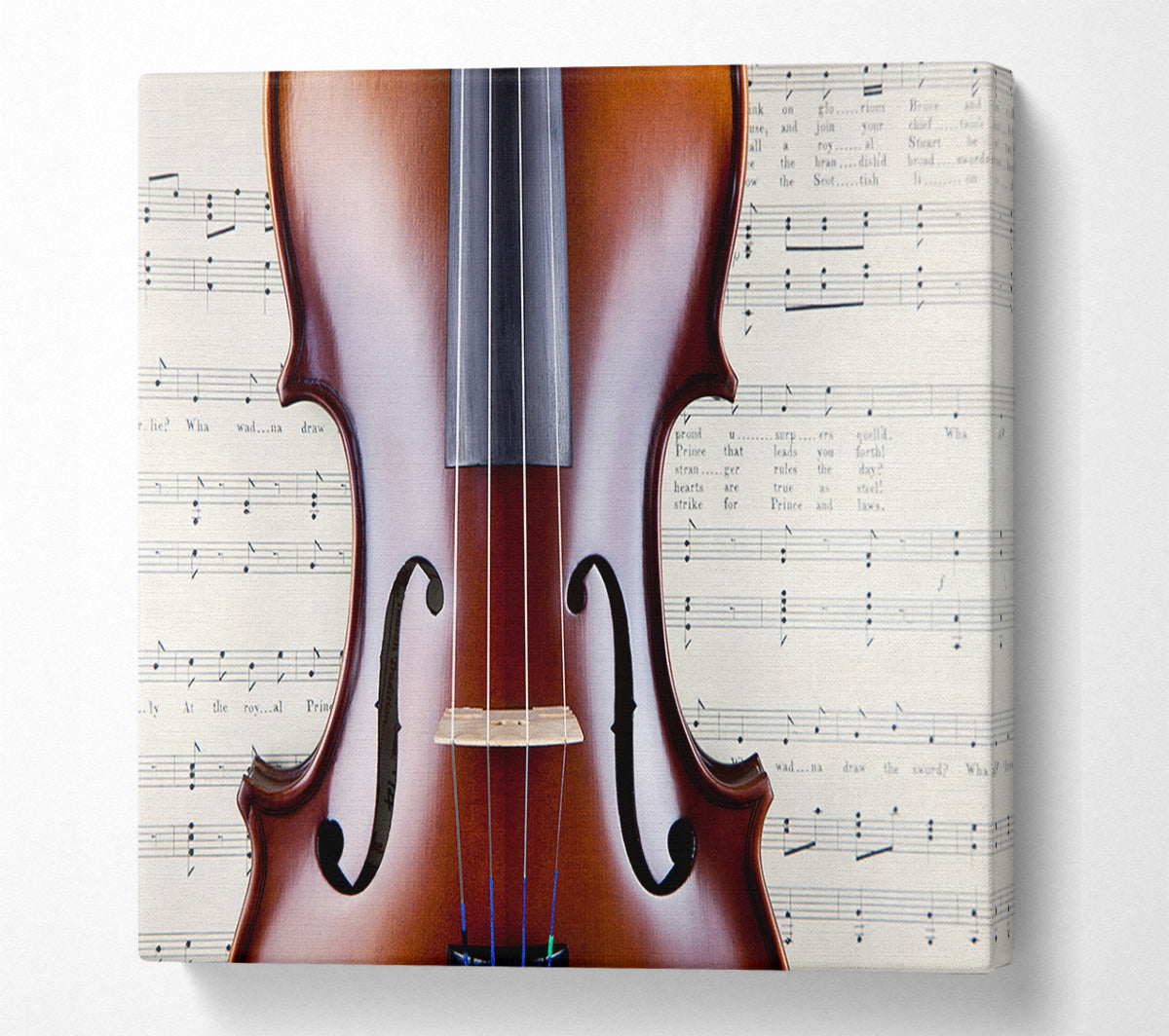 Violin Splendor Canvas Wall Art