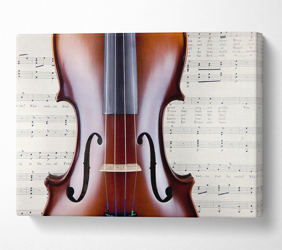 Violin Splendor Canvas Wall Art