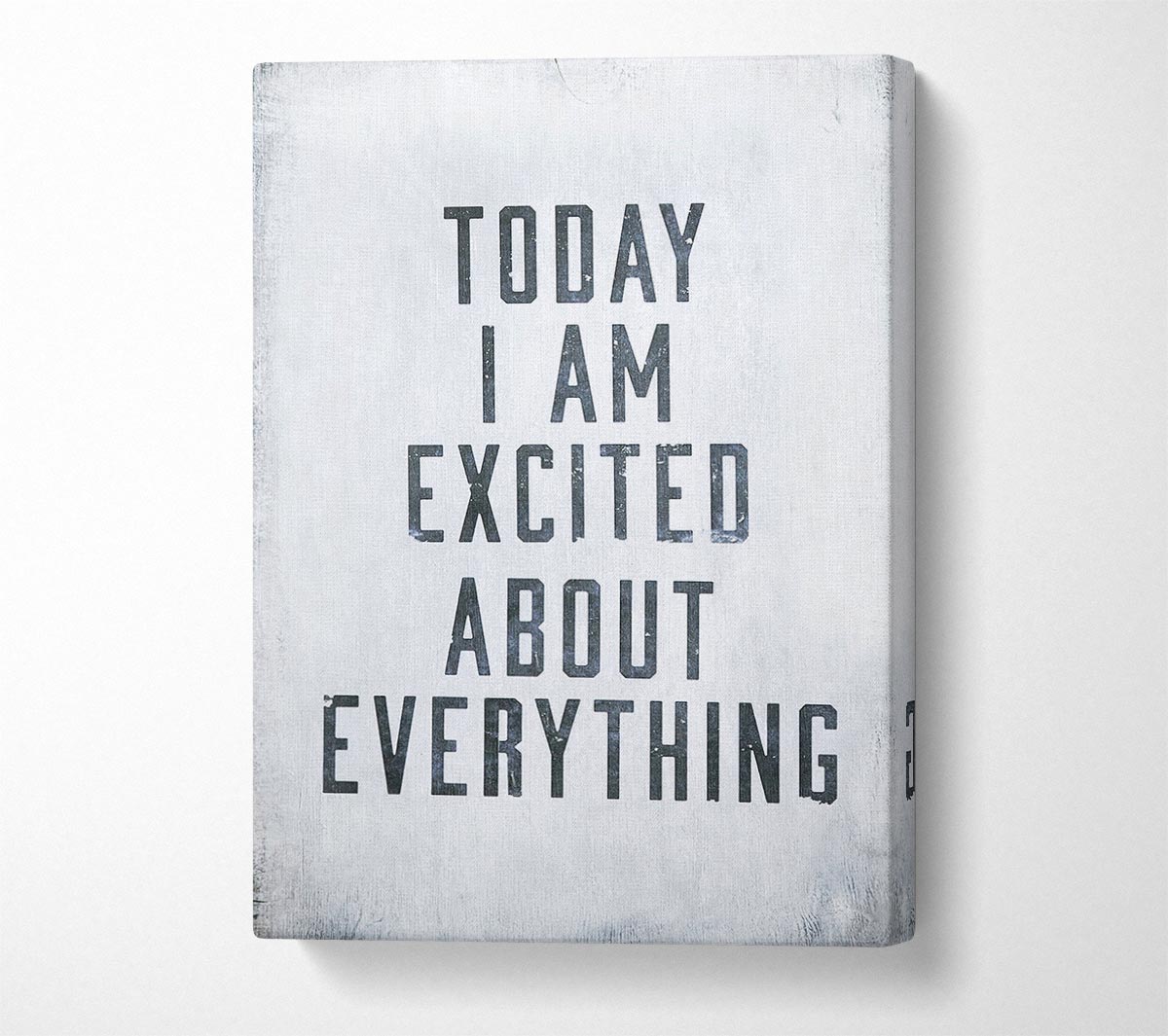 Today I Am Excited Canvas Wall Art