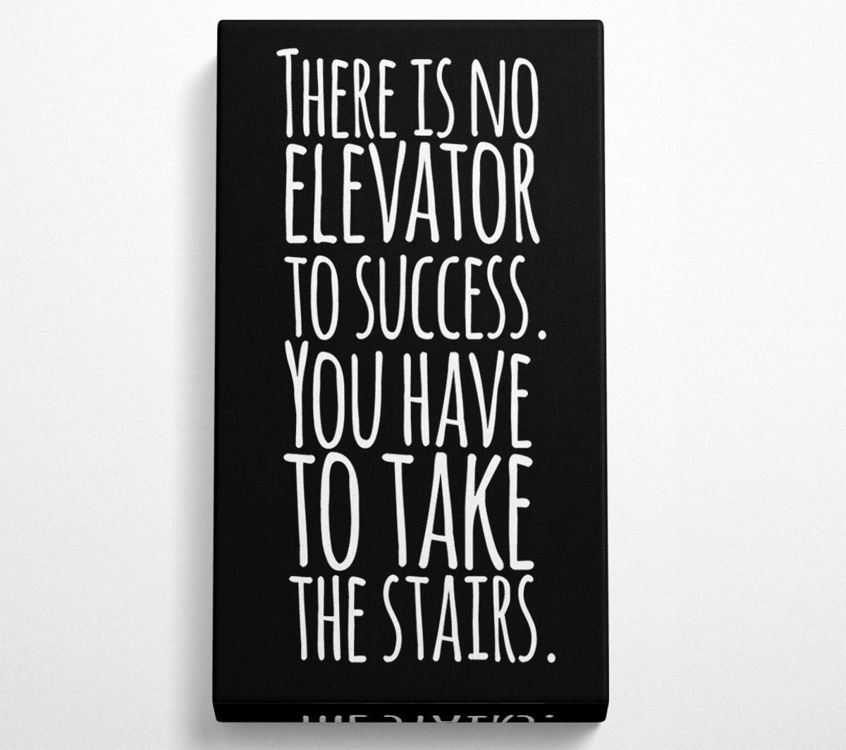 There Is No Elevation To Success Canvas Wall Art