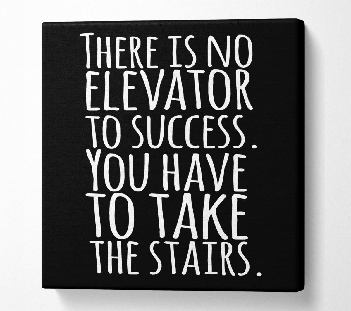 There Is No Elevation To Success Canvas Wall Art