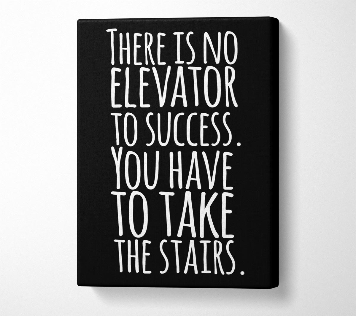 There Is No Elevation To Success Canvas Wall Art