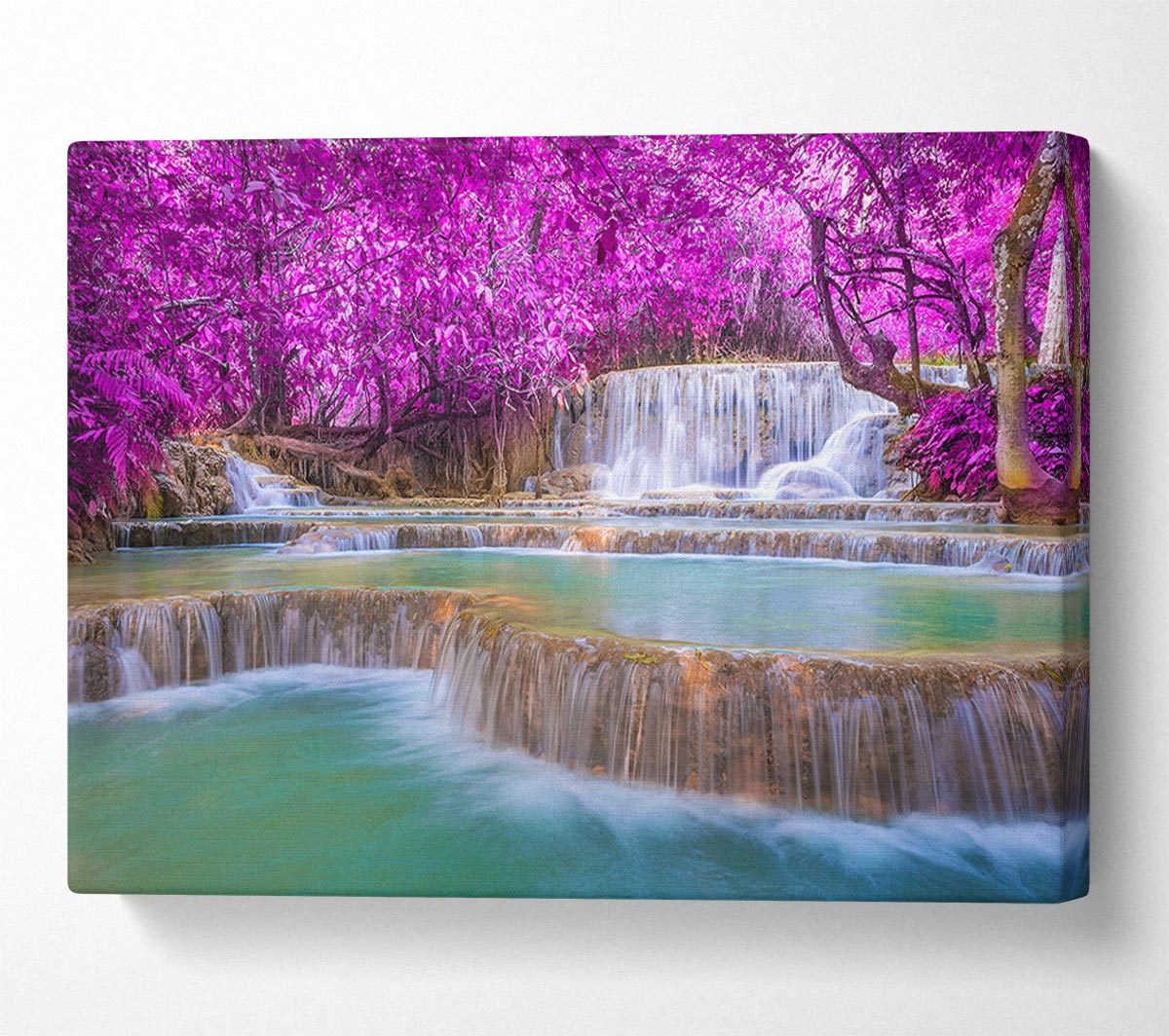 Pink Tree Beauty 2 Canvas Wall Art