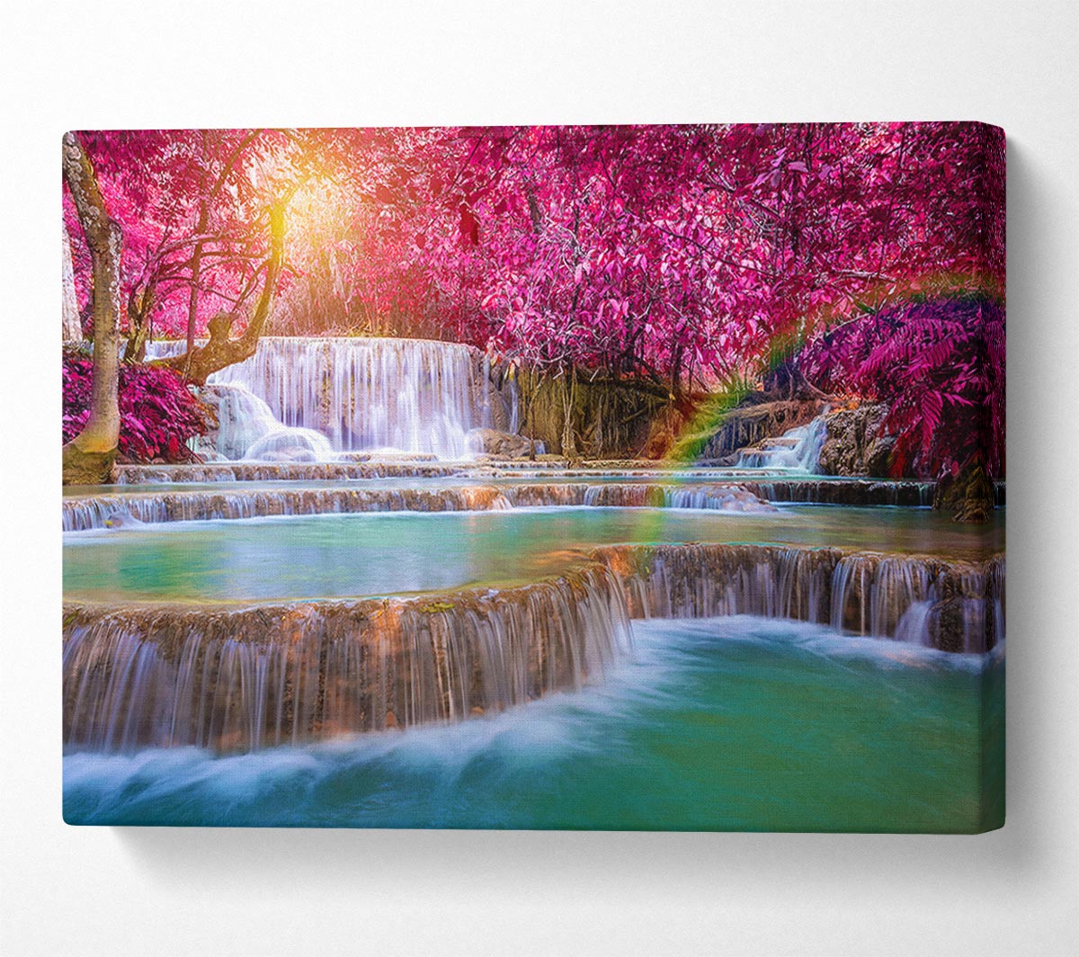 Pink Tree Beauty 3 Canvas Wall Art