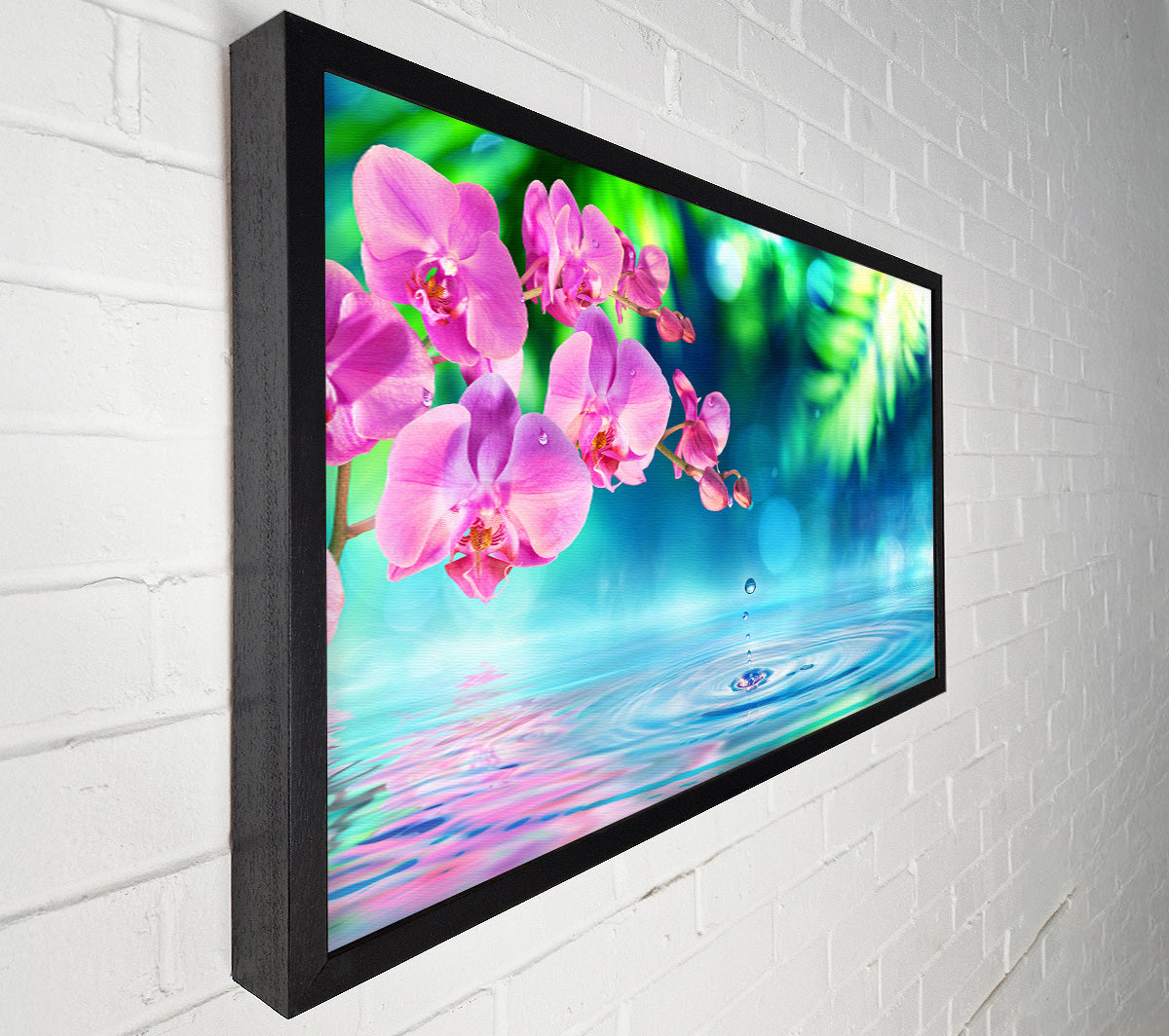 Pink orchid droplet Canvas Wall Art