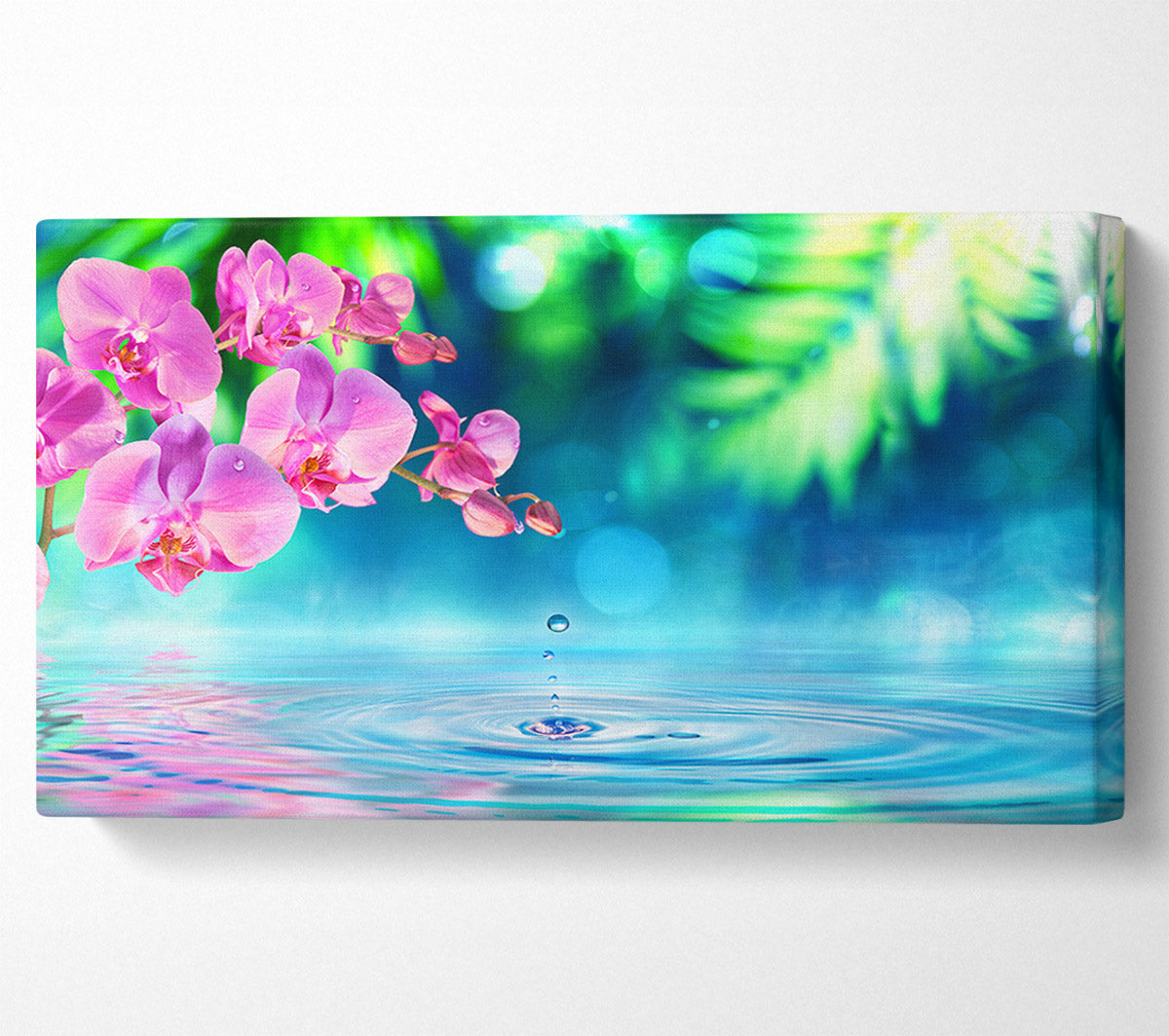 Pink orchid droplet Canvas Wall Art