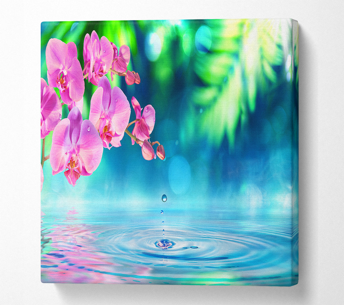 Pink orchid droplet Canvas Wall Art