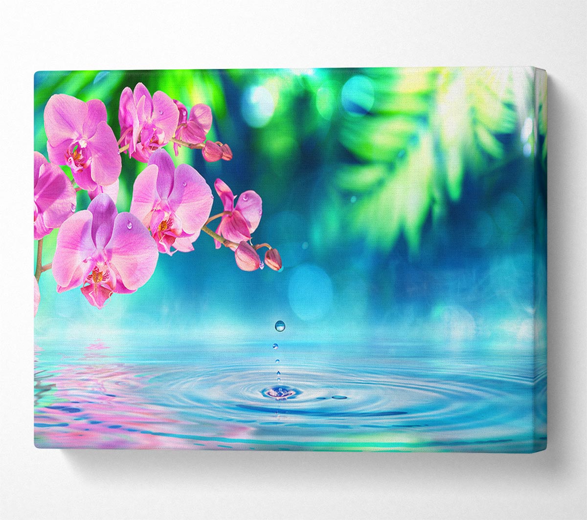 Pink orchid droplet Canvas Wall Art