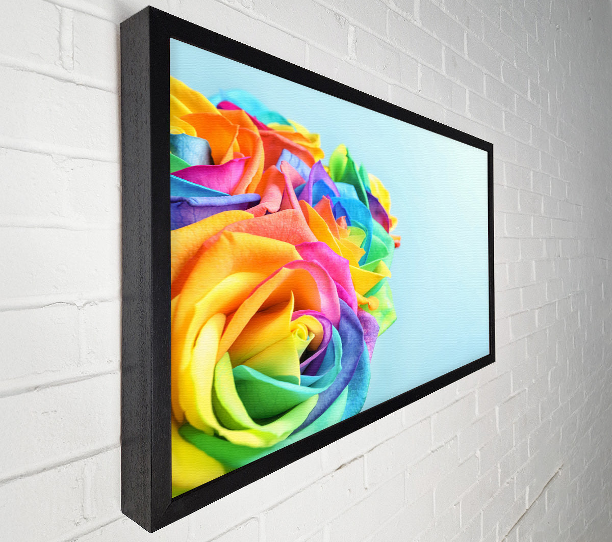 Rose colour rainbow Canvas Wall Art