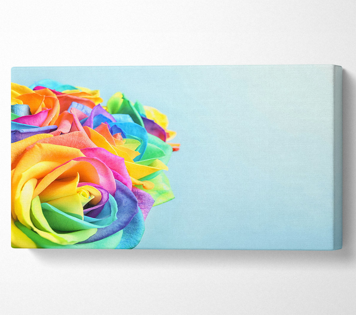 Rose colour rainbow Canvas Wall Art