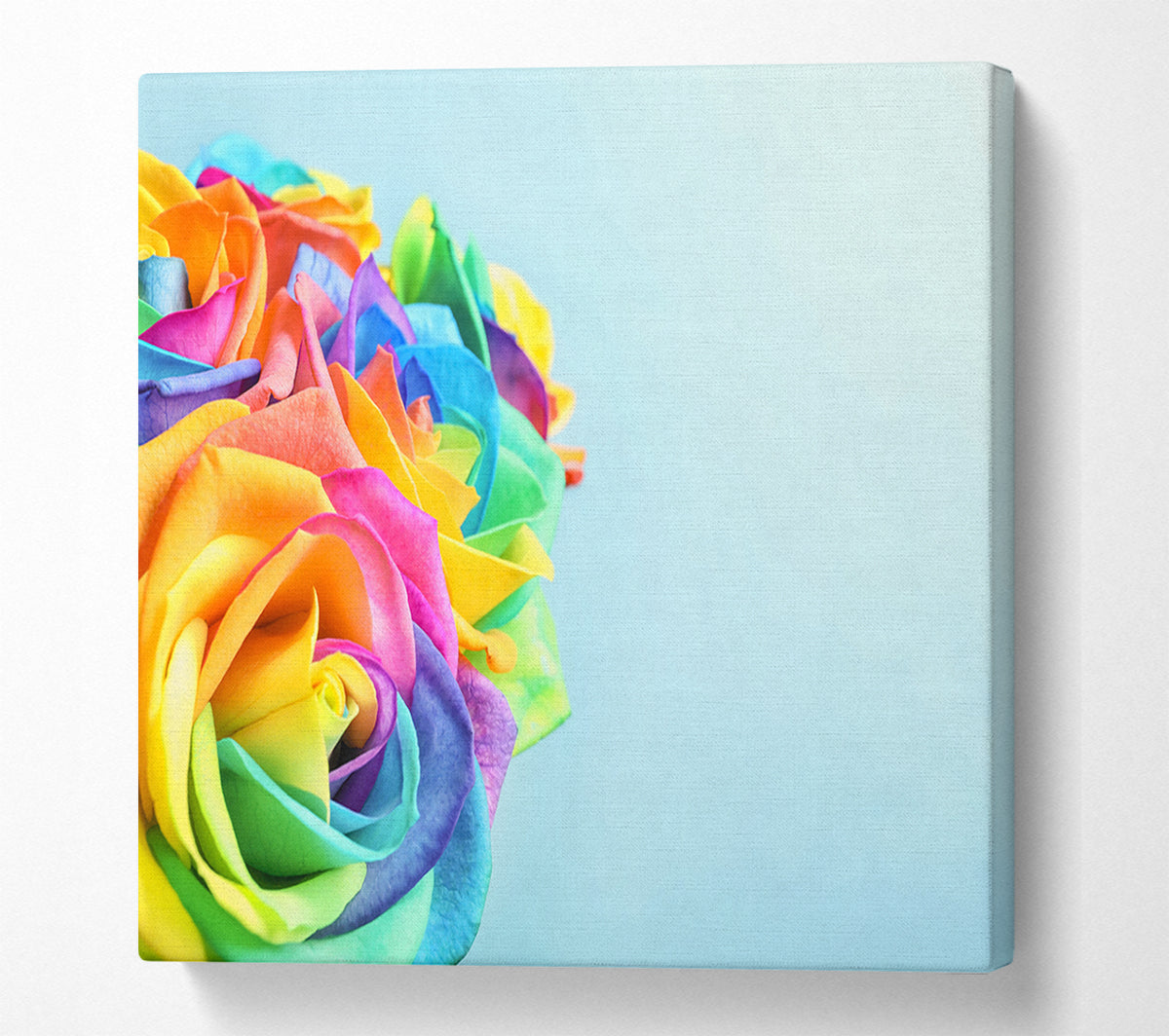 Rose colour rainbow Canvas Wall Art